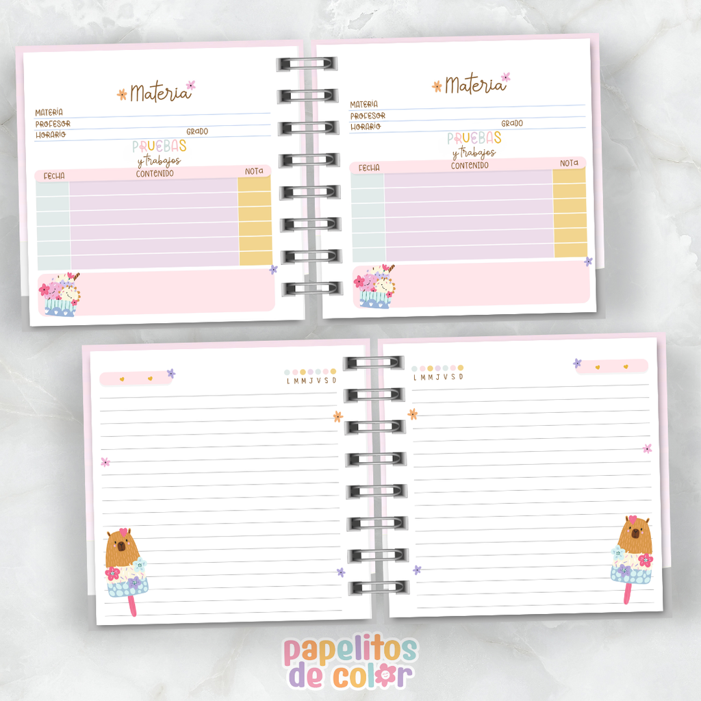 🍧 Combo Sorbete ✨