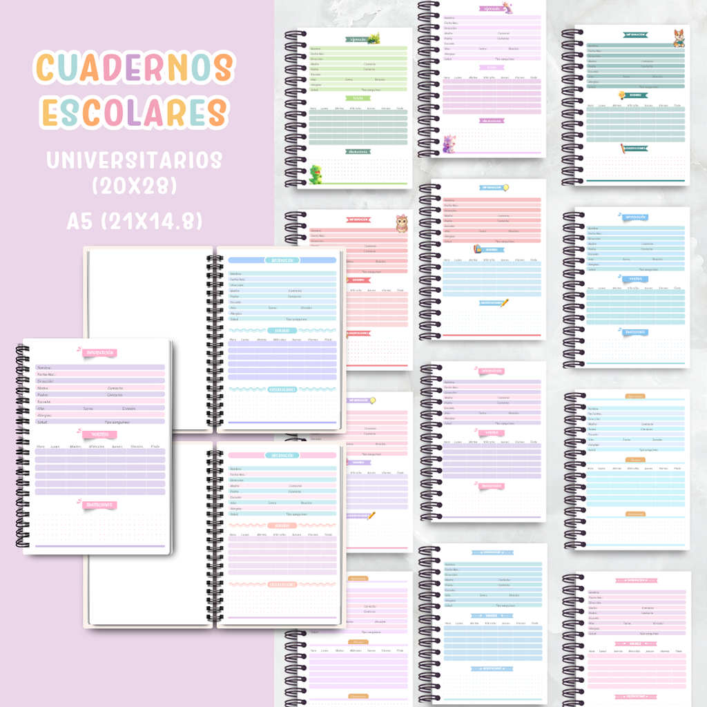 📚 Cuadernos Escolares  ✨
