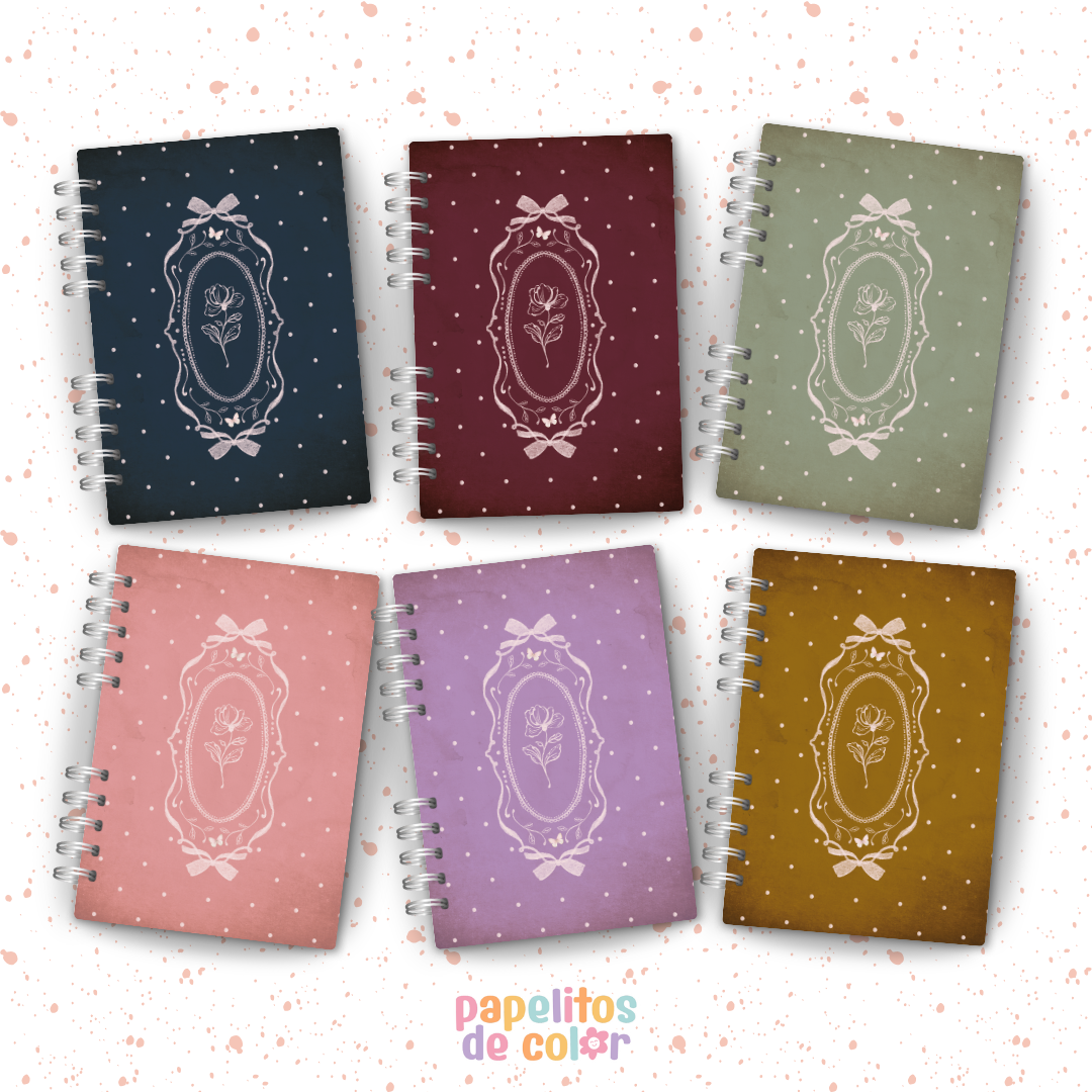 🎀 Colección Lazos 🎀