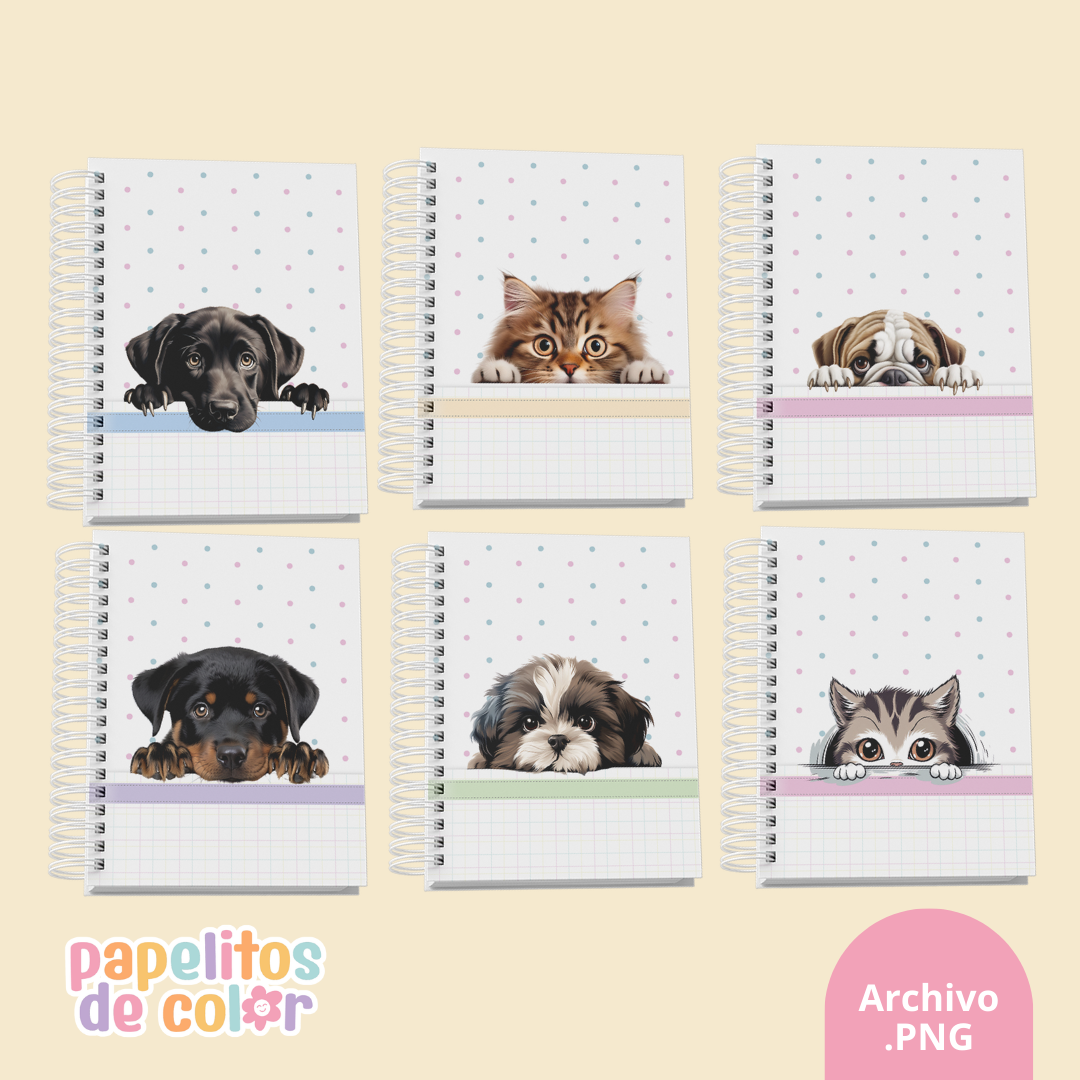 🐾 Pack de 32 Portadas - Kit 26🐶🐱