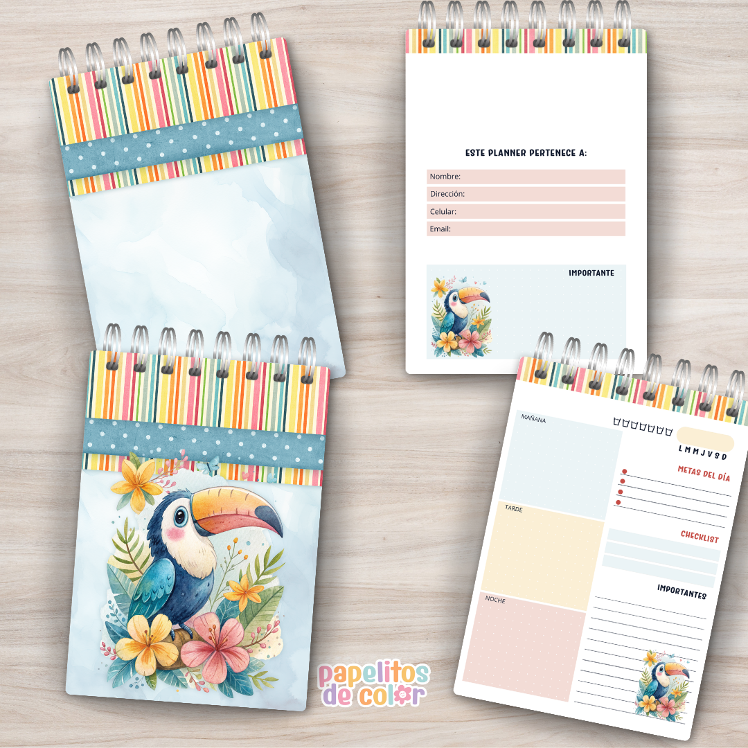💖📚 Combo Alma – Cuadernos + Planners ✨🖊️