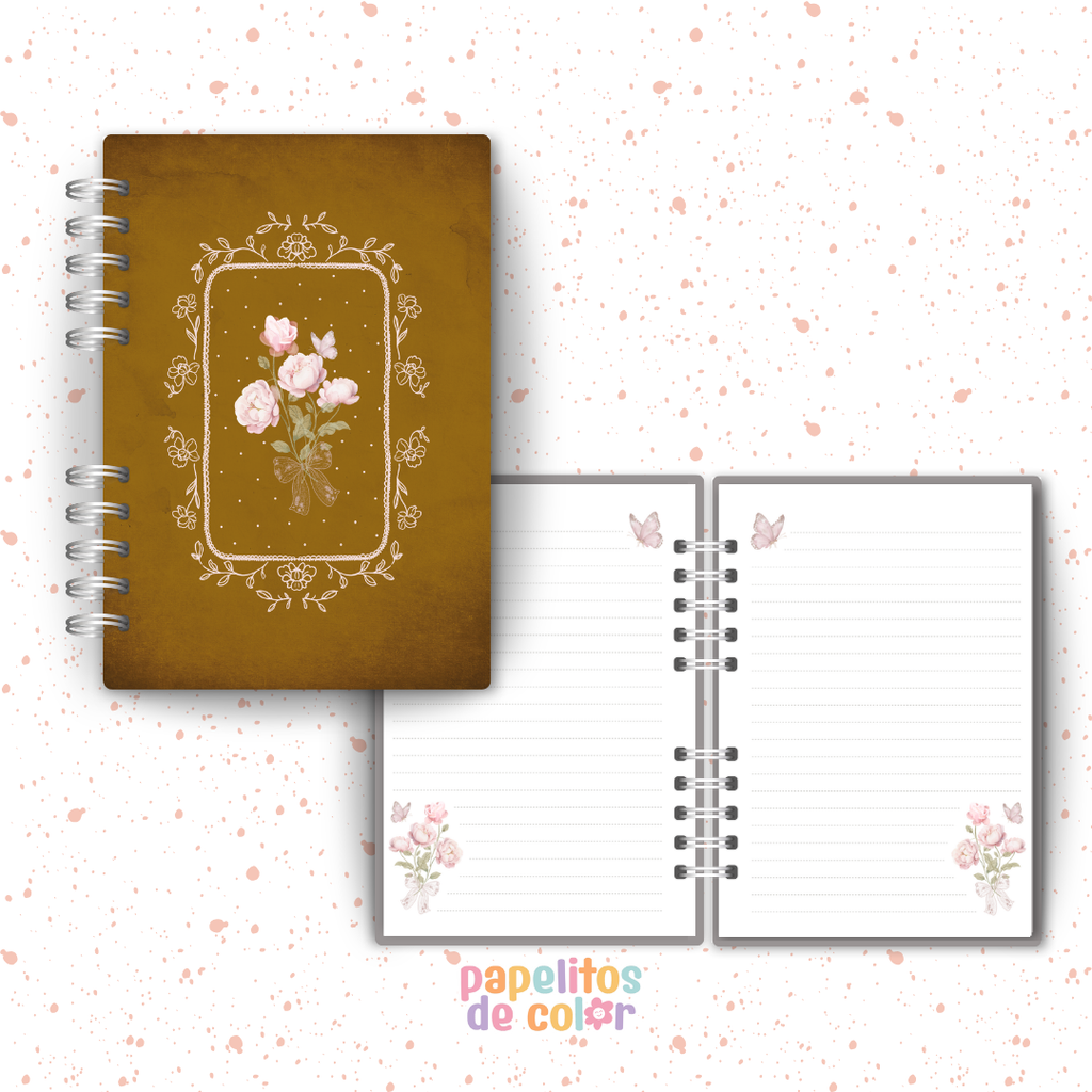 🎀 Colección Lazos 🎀