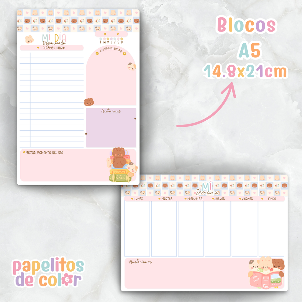 🎀 Combo Cami 📚