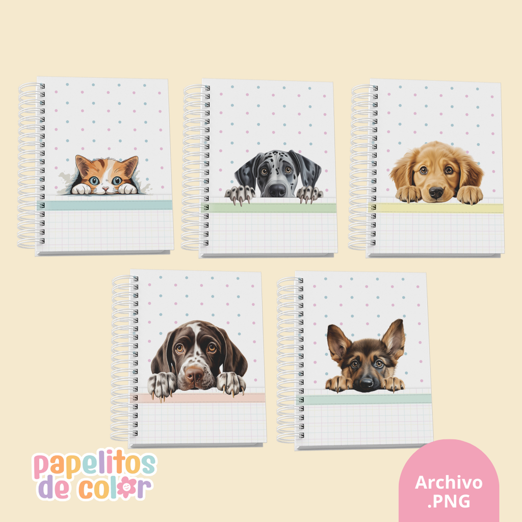 🐾 Pack de 32 Portadas - Kit 26🐶🐱