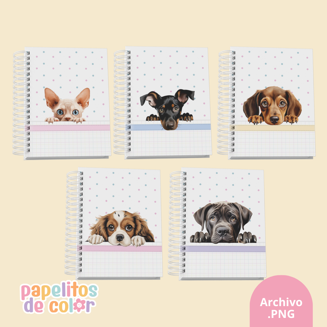 🐾 Pack de 32 Portadas - Kit 26🐶🐱