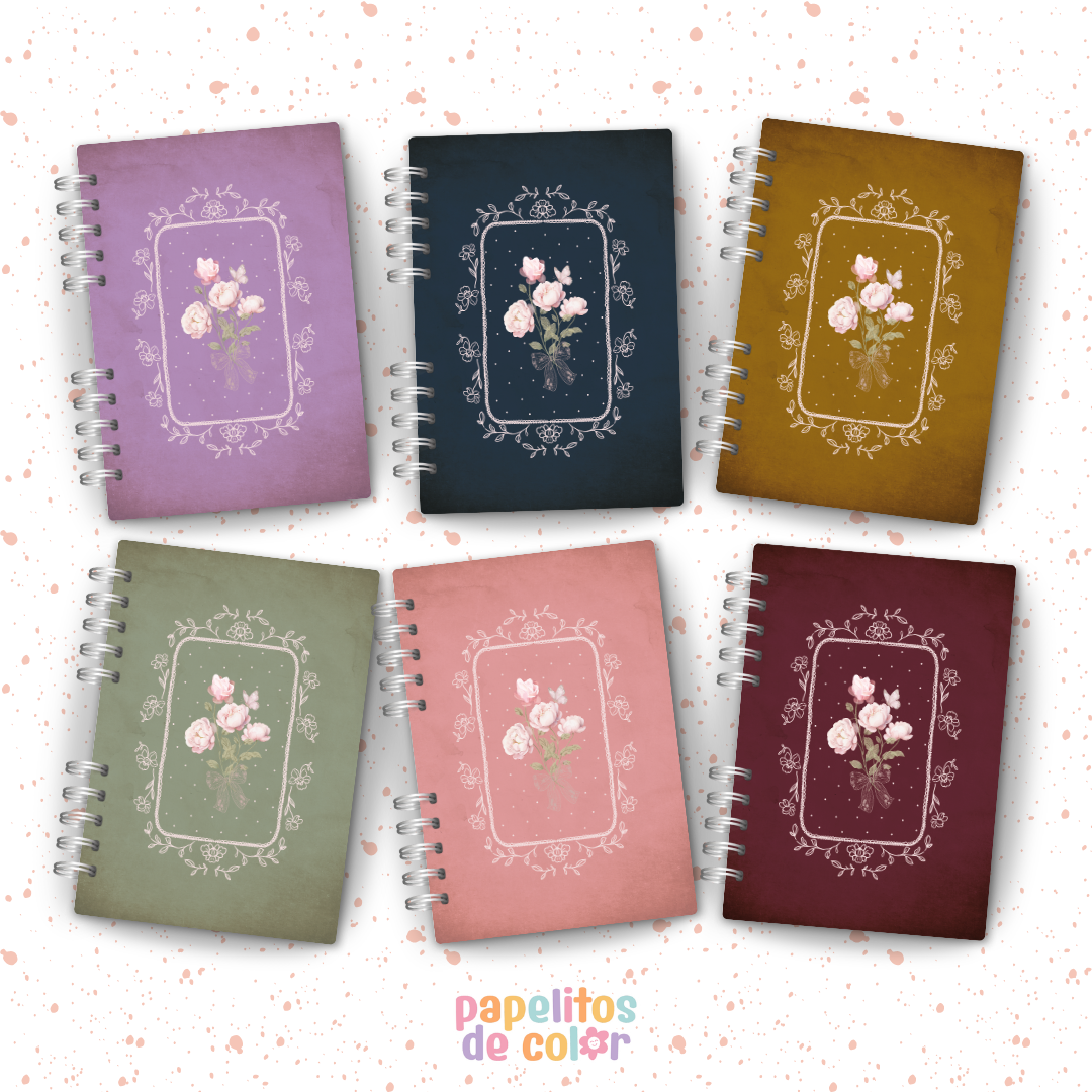 🎀 Colección Lazos 🎀