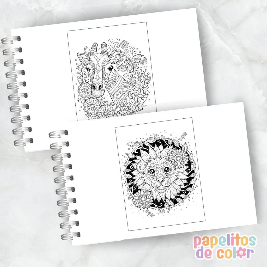🌙✨ Libro para pintar Mystical World 🖍️🔮