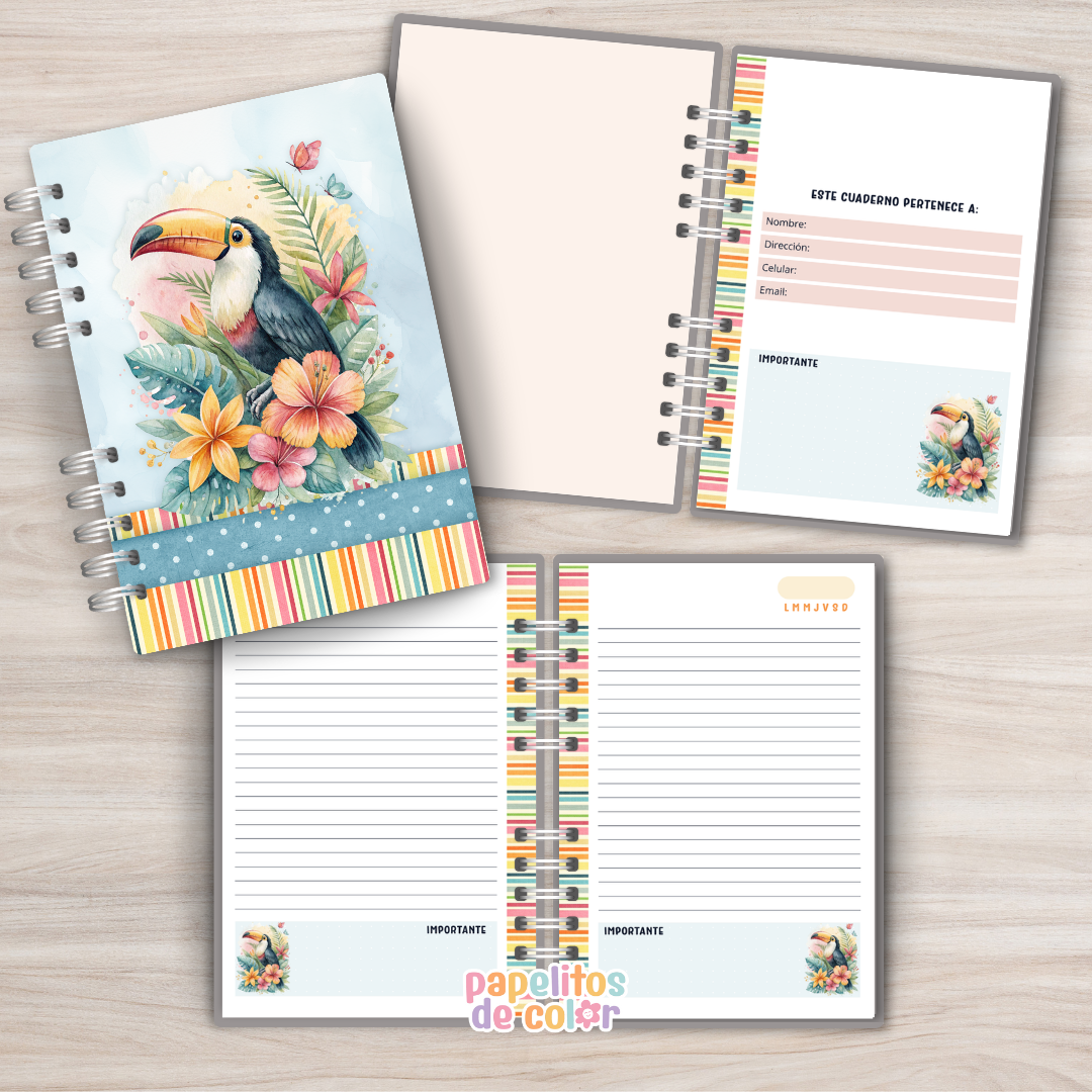 💖📚 Combo Alma – Cuadernos + Planners ✨🖊️