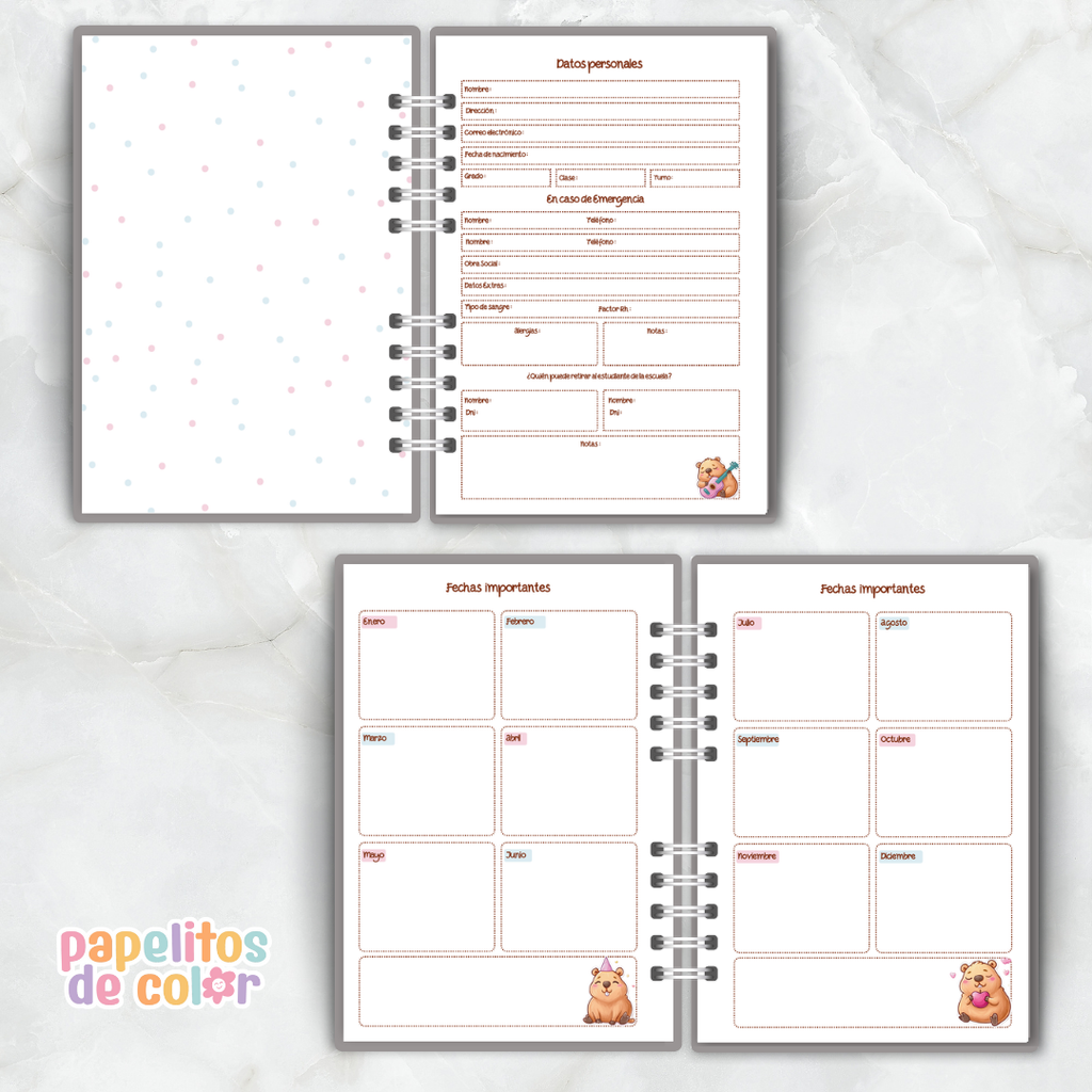 🦫 Combo Capibara Escolar🎒