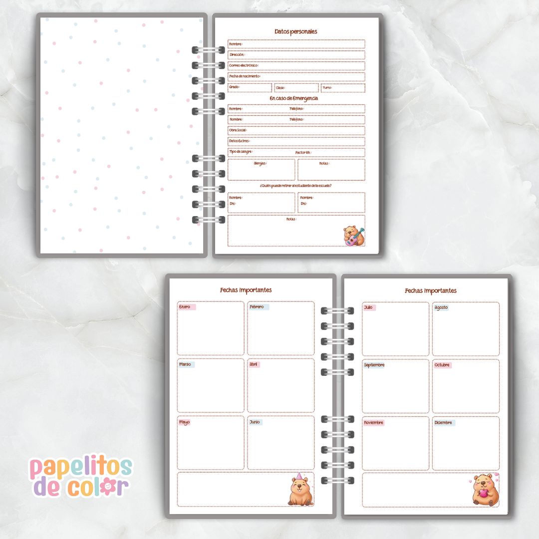 🦫 Combo Capibara Escolar🎒