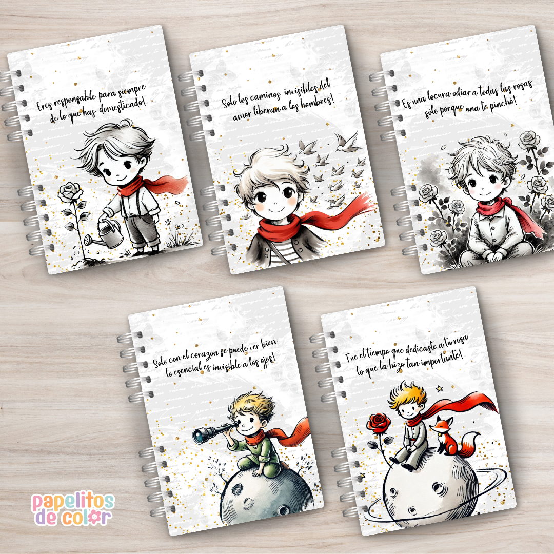 🌟 Combo El Principito 🎨📘