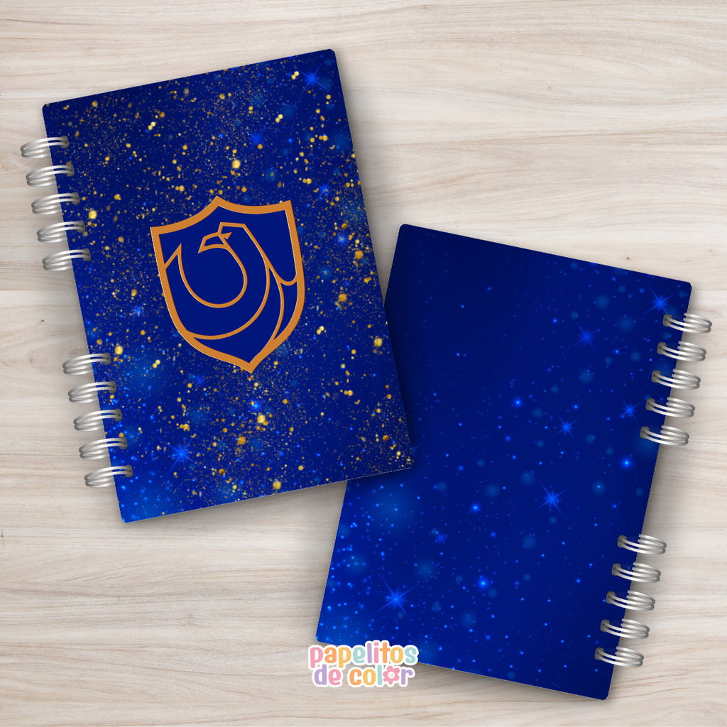 🦅✨ Combo Ravenclaw✨🦅