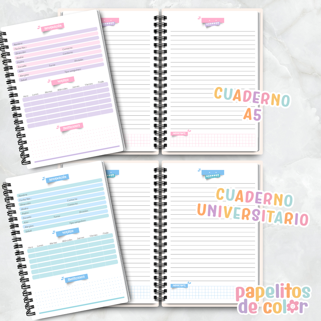 📚 Cuadernos Escolares  ✨