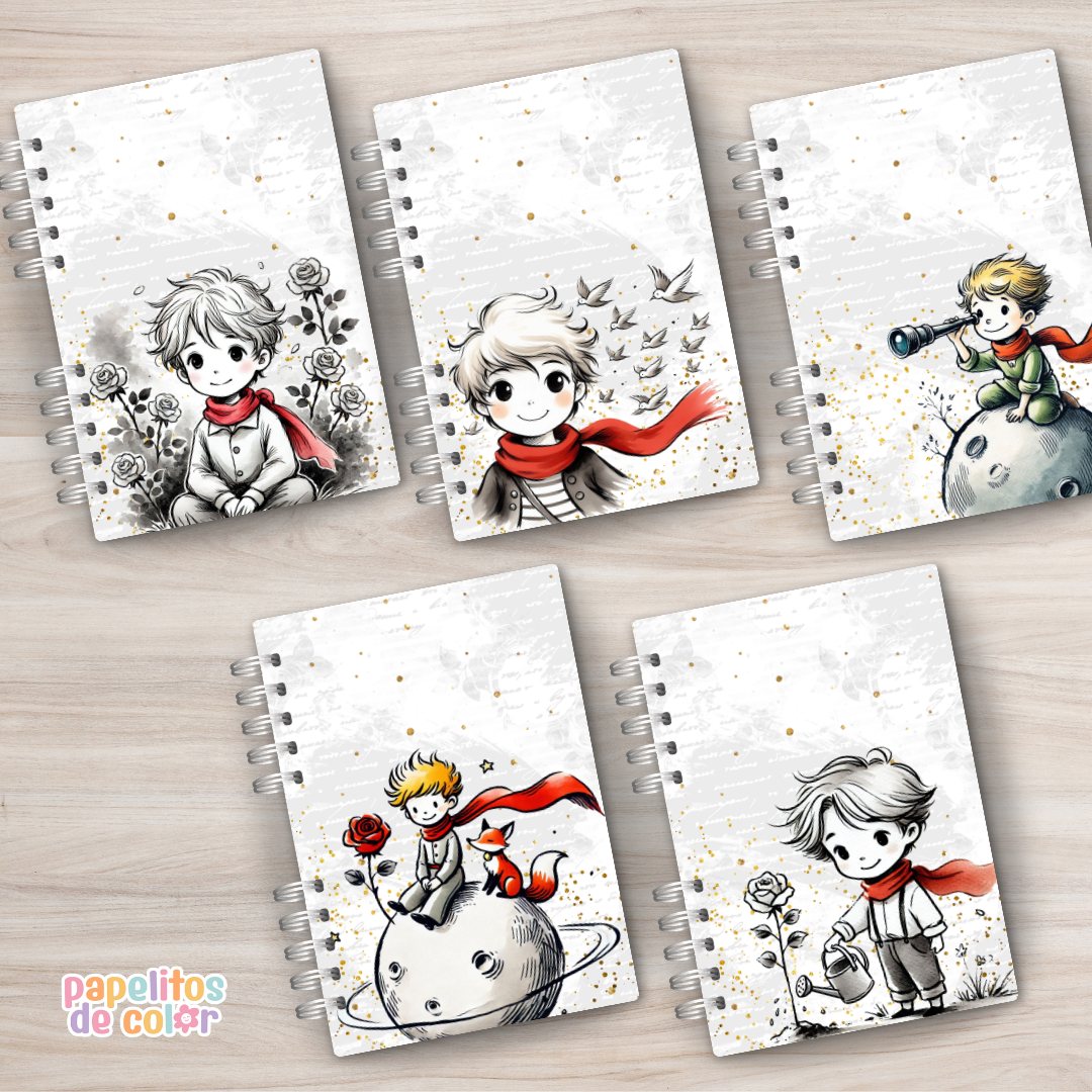 🌟 Combo El Principito 🎨📘