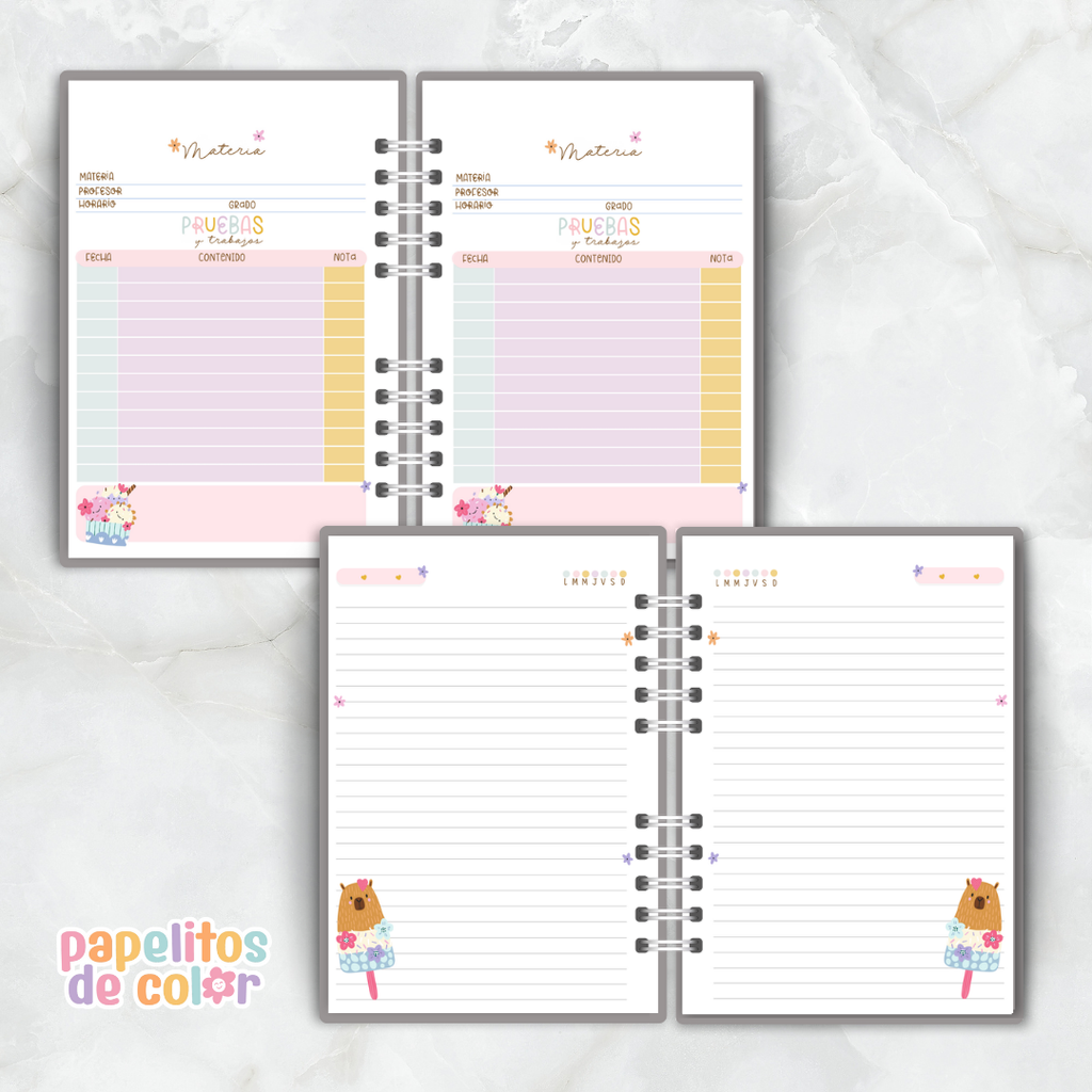 🍧 Combo Sorbete ✨