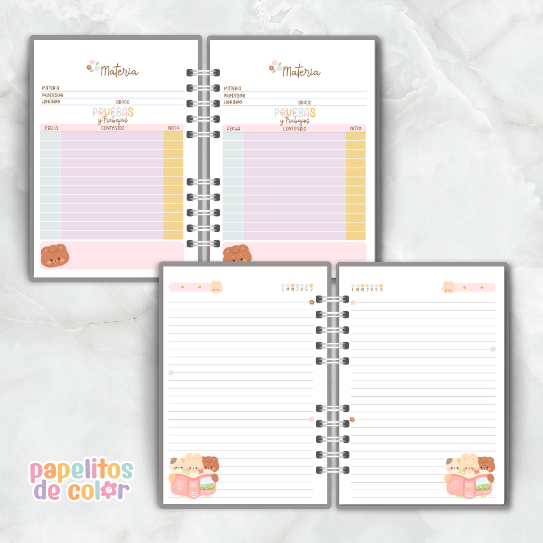 🎀 Combo Cami 📚