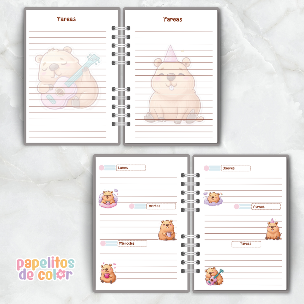 🦫 Combo Capibara Escolar🎒