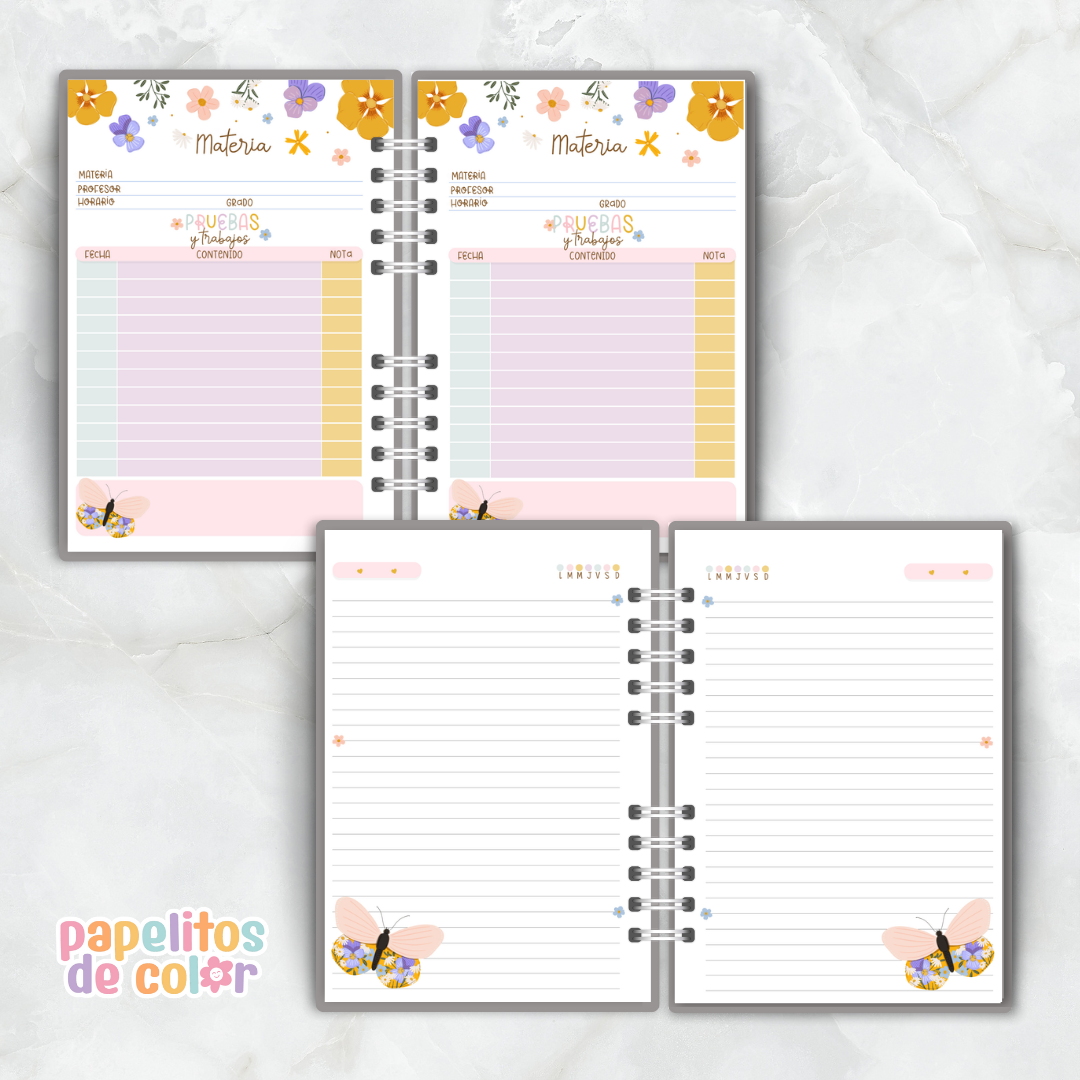 🦋 Combo Butterfly 🦋