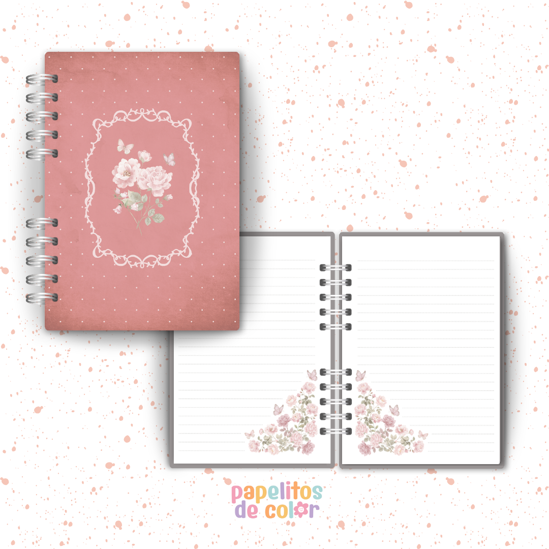 🎀 Colección Lazos 🎀