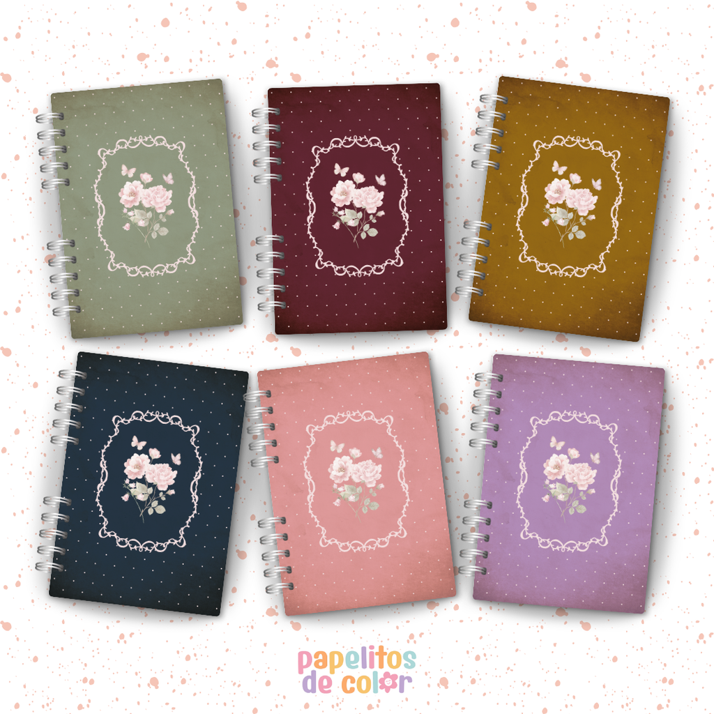 🎀 Colección Lazos 🎀