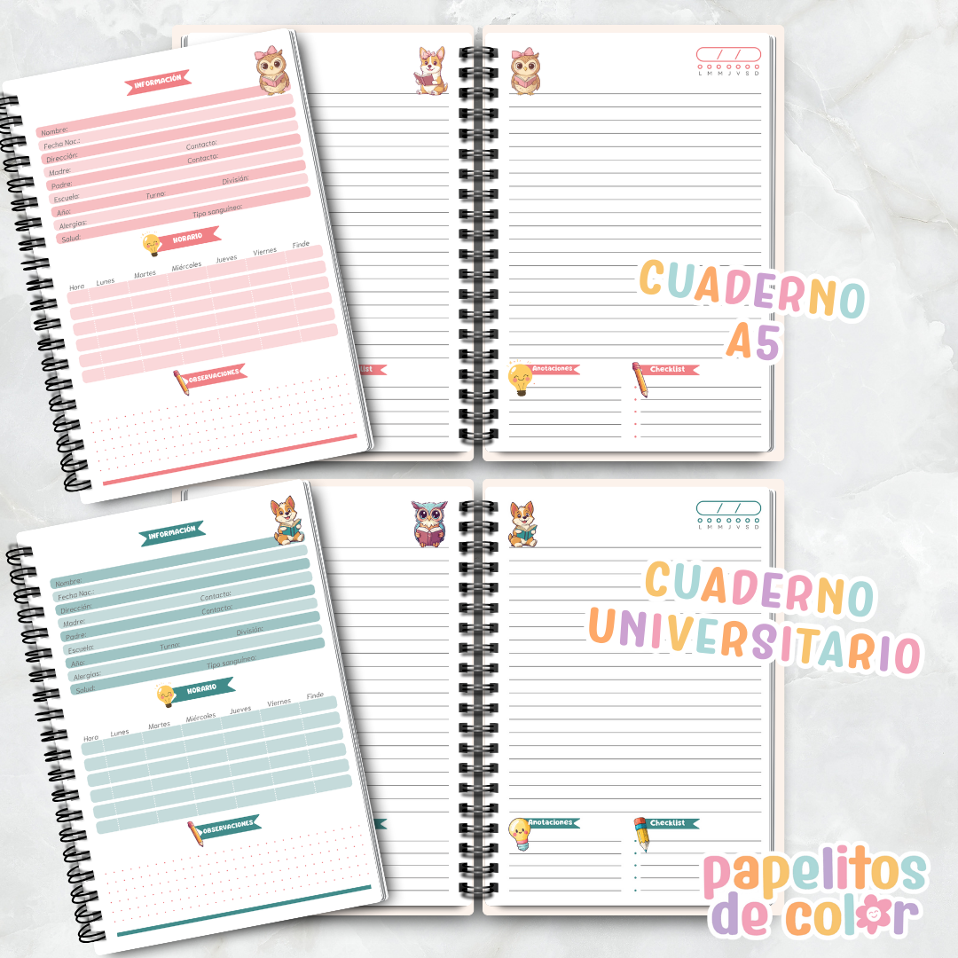 📚 Cuadernos Escolares  ✨