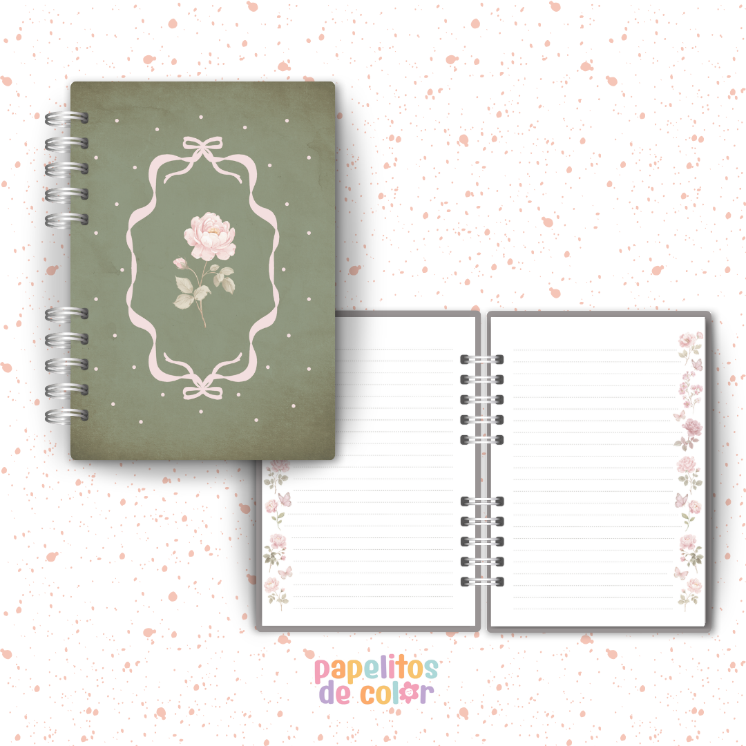 🎀 Colección Lazos 🎀